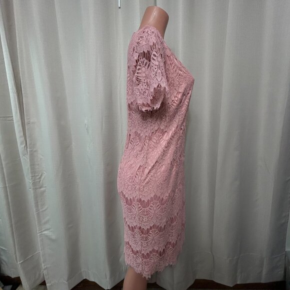 Preston & York Felecia Short Sleeve Lace Sheath Dress Women's Size 12 Pink NWT - Picture 2 of 12
